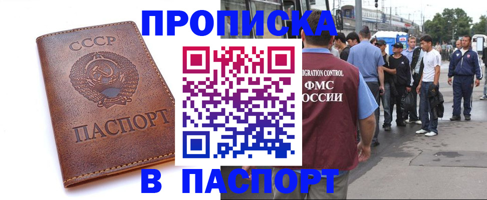 временная регистрация поиск в Долгопрудном